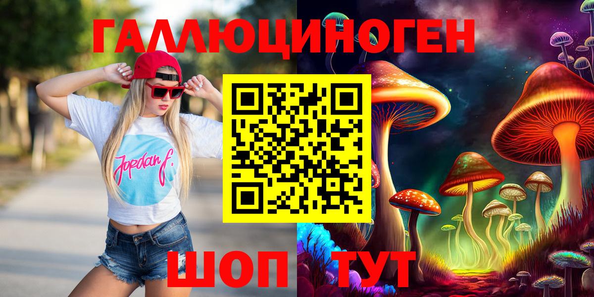Галлюциногенные грибы Psilocybe  Вход с VPN  Санкт-Петербург 